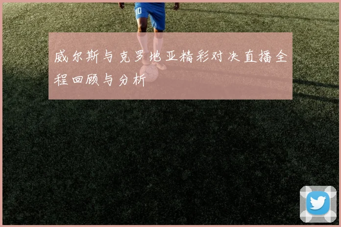 威尔斯与克罗地亚精彩对决直播全程回顾与分析